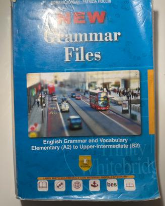 NEW GRAMMAE FILES