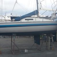 Barca a vela dea teti 6000