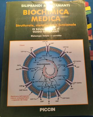 biochimica medica IV EDIZIONE siliprandi & tettama