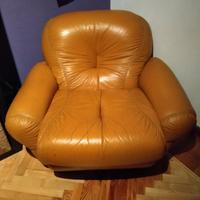 Coppia di poltrone modello sapporo 