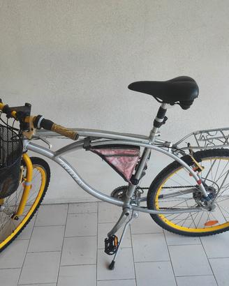 bicicletta in alluminio