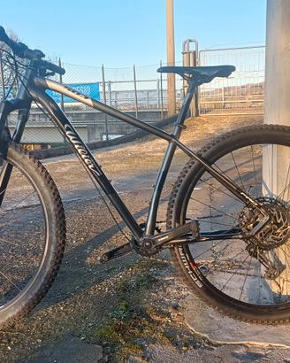 MTB WILIER triestina 503xpro