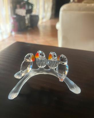 Pappagalli di swarovski
