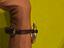 Immagine 4