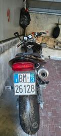 Honda Hornet 600