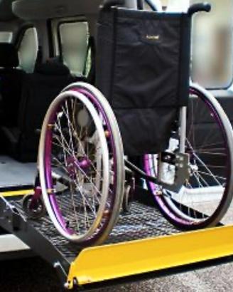 pedana per disabili con compatibilità con fiat dob