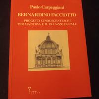 BERNARDINO  FACCIOTTO  (PROGETTI  CINQUECENTESCHI)