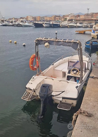 Barca a motore