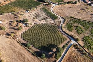 Terreno agricolo con vigneto e frutteto