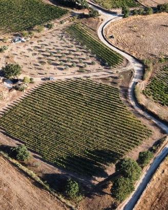 Terreno agricolo con vigneto e frutteto