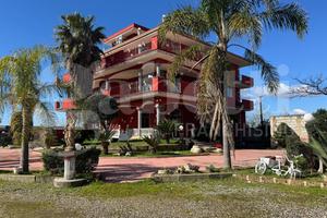 Albergo/Hotel Pastorano [Cod. rif 3296726VTG]