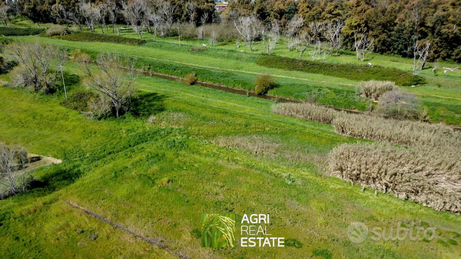 Terreno agricolo di 4 ettari fronte strada - Vista 5