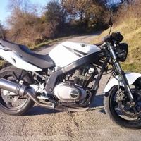 Special Titanium Roadsitalia Suzuki GS 500