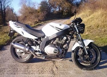 Special Titanium Roadsitalia Suzuki GS 500