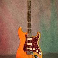 Harley Benton ST-90SA Swamp Ash DLX Series – mod T