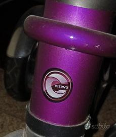 triciclo /Passeggino 