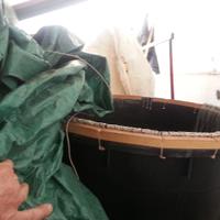 Palamito,Conzo,Palangaro di profondità