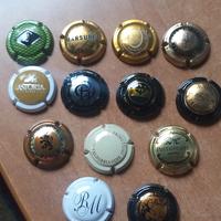  13 capsule di spumante e champagne