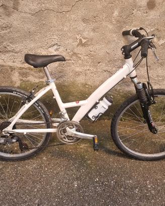 Bici MTB