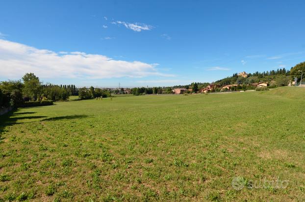 Terreni agricoli zona Montesanto