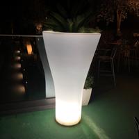 Vaso luminoso con pianta