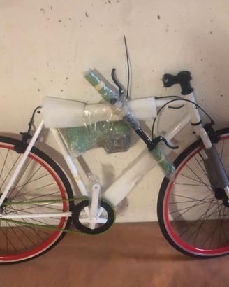 bicicletta