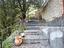 Immagine 16