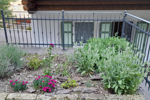 Appartamento Girasole