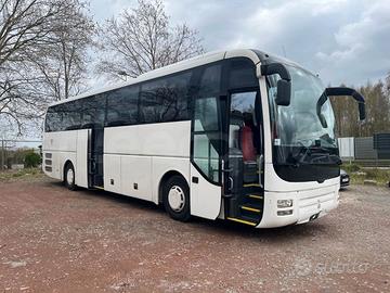 Man Lion's Coach