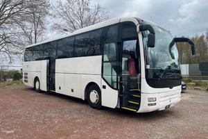 Man Lion's Coach