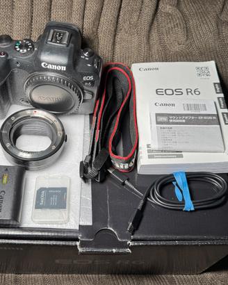 Canon R6