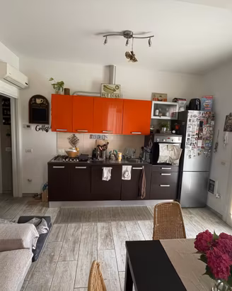 Cucina lineare di mobilificio [2,6 mt]
