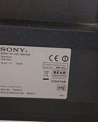 tv smart Sony non funzionante 