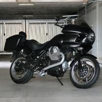 Bellagio King of Bagger 