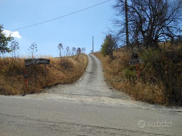 Terreno E2 in c.da Serra dei Ladroni