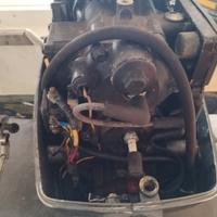 Johnson 737 40 cavalli