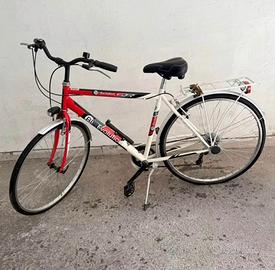 Bike evolution