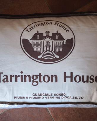 Coppia guanciali piuma d'oca