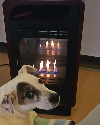 Stufa a bioetanolo – "Fiammetta Ventilata 