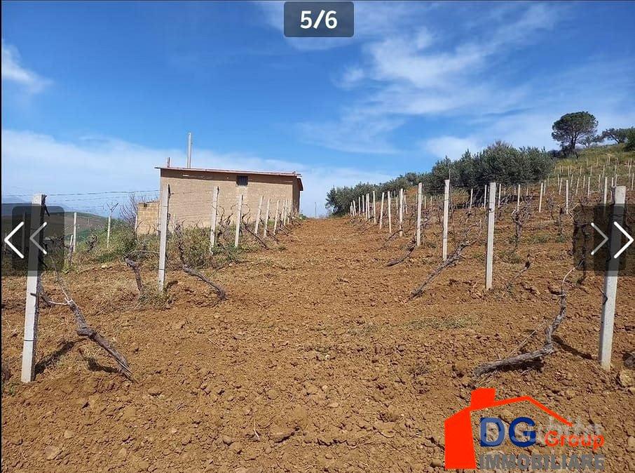 TERRENO CON RUDERE - Vista 4