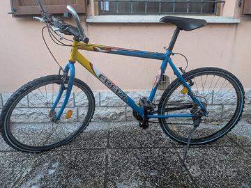 Mountain bike