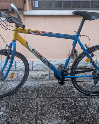 Mountain bike