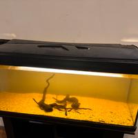Acquario con mobile 240 l