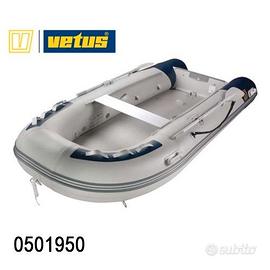 Tender Vetus VB300 + motore Selva Ray 8 cv 4 tempi
