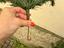 Immagine 6