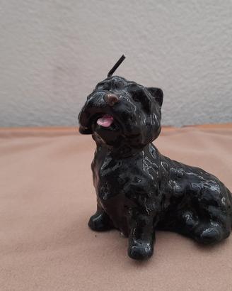 Candele cane fatte a mano