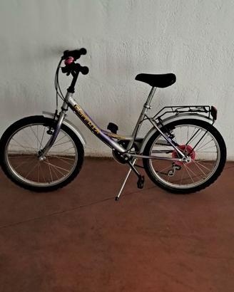Bicicletta