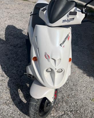 Malaguti F12