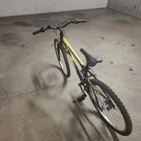 Mountain bike per ragazzi 