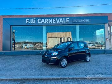 FIAT Panda 3ª serie Panda 1.0 FireFly S&S Hybrid